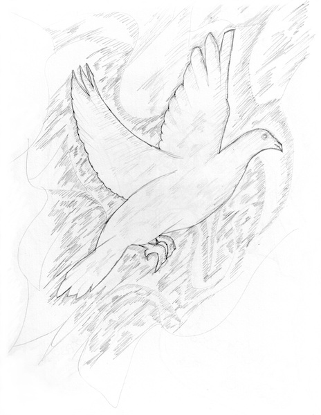 Sketch from the temple: a dove etched in stone